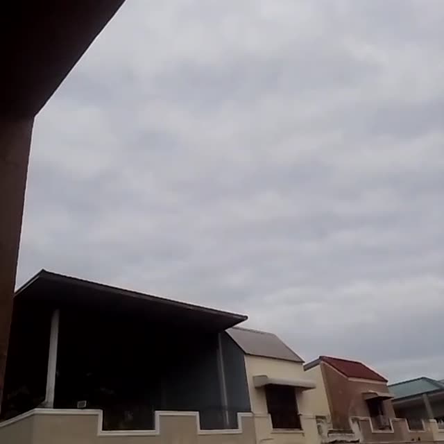 Video circle by Anonymous